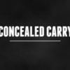 IL State Concealed Carry Class - Image 4